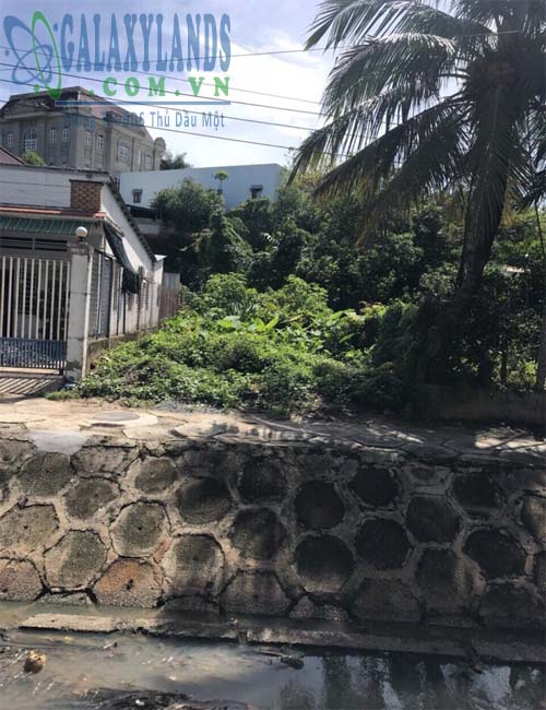 Bán đất phường Chánh Nghĩa.