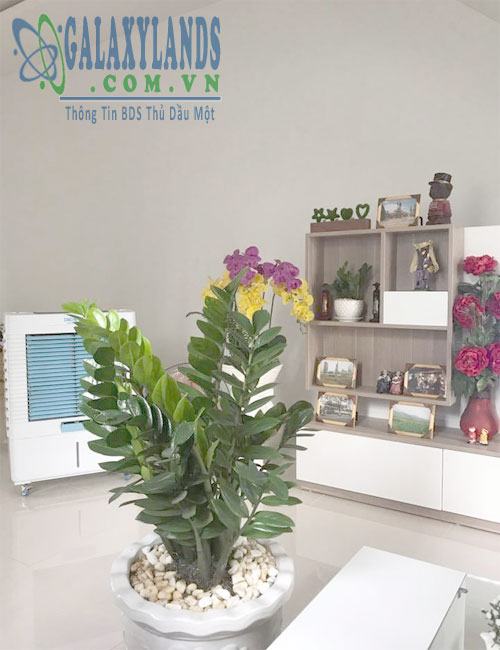 Bán nhà phường Hiệp Thành Bình Dương