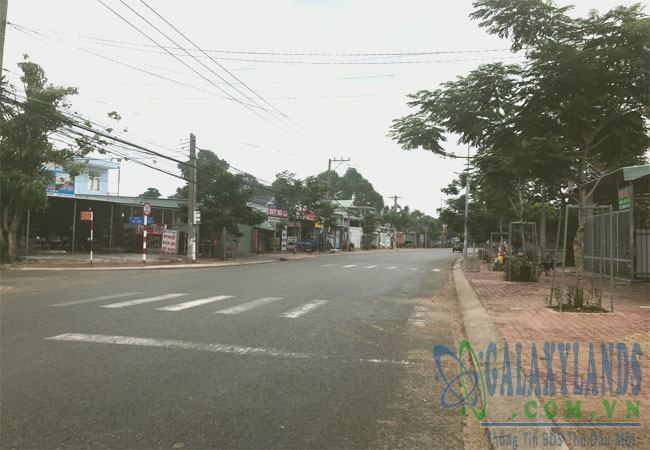 Bán đất đường Đồng Cây Viết Phú Mỹ.