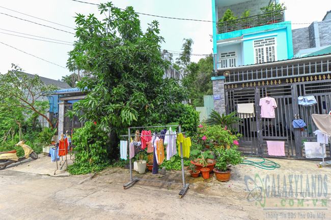 Vị trí đất bán hẻm Chùa Phổ Tịnh, phường Hiệp Thành, Thủ Dầu Một