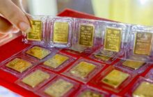 Giá vàng trong nước tăng lập đỉnh chạm mốc 64,65 triệu đồng/lượng.