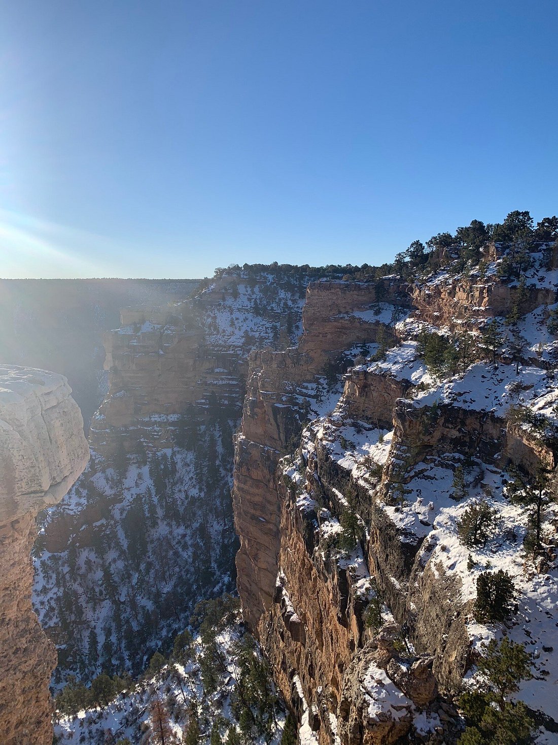 Grand Canyon National Park in Arizona photo